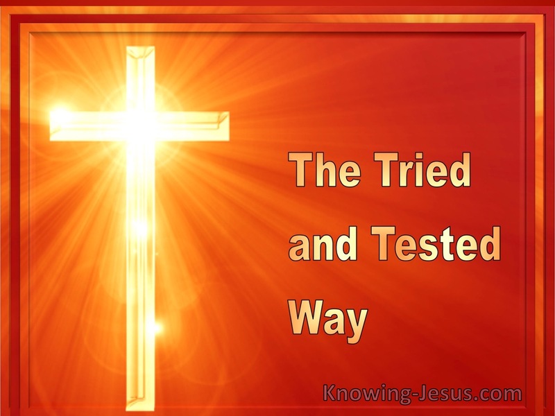 The Tried and Tested Way (devotional)04-29 (orange) 